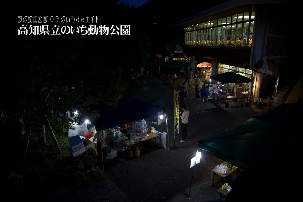 夜の動物公園 \'09 のいちdeナイト_a0078341_1871284.jpg