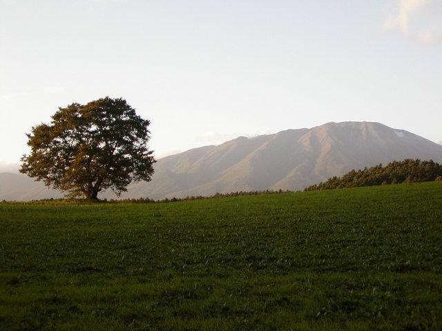c0175742_8101472.jpg