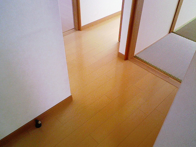 e0196845_174927.jpg