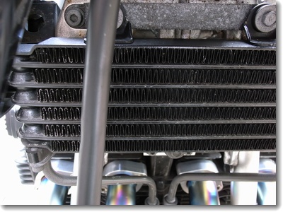 c0147448_10114430.jpg