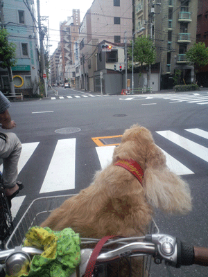 f0203249_0443330.gif