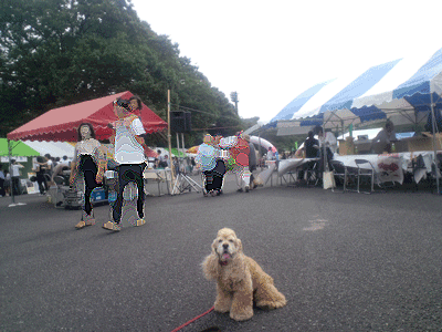 f0203249_0531025.gif