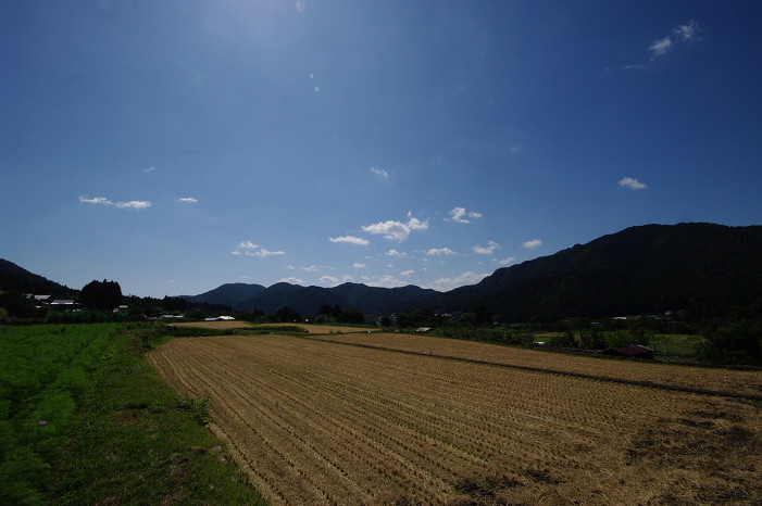 f0152550_21222138.jpg