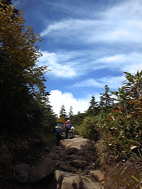 2100mの黒ラベル～登山①_c0049455_11501598.jpg