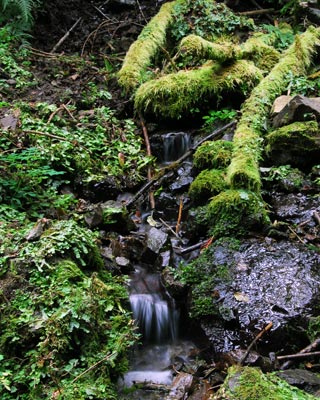e0035757_18134124.jpg