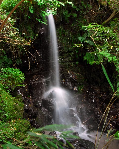 e0035757_18135617.jpg