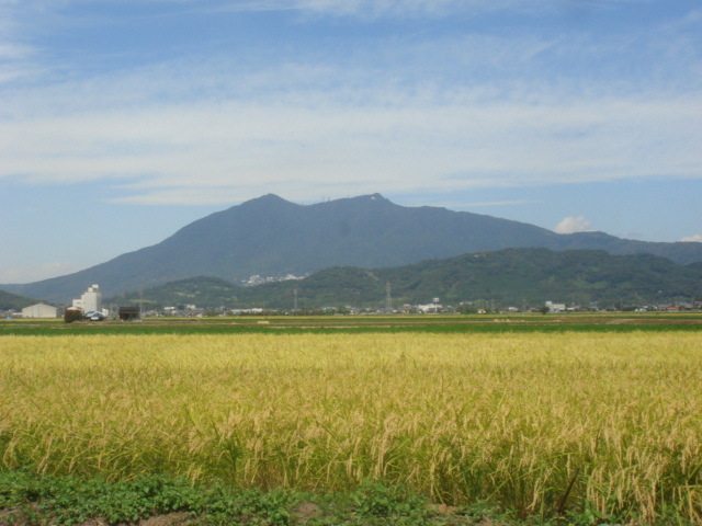 つくば北条米_b0124462_9235967.jpg