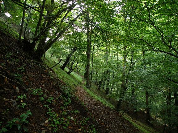 e0136962_011799.jpg