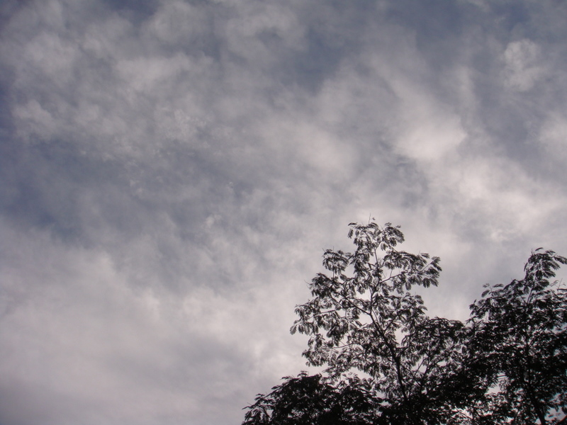 f0065568_20156.jpg