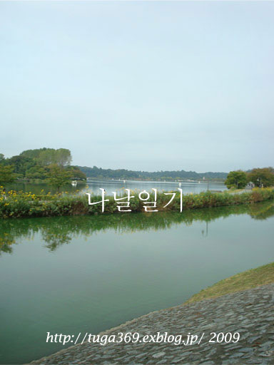 e0029472_1545.jpg