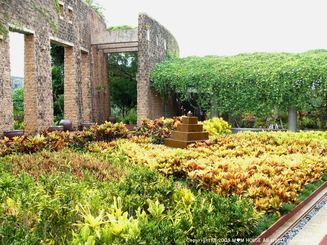 美ら海から　秘密の花園へ・・・　☆　ご飯はど～ん♪_c0139375_13495872.jpg