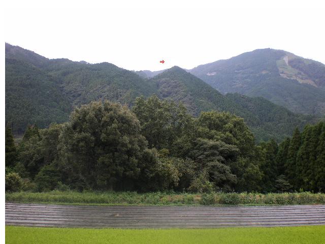 d0040076_82231.jpg