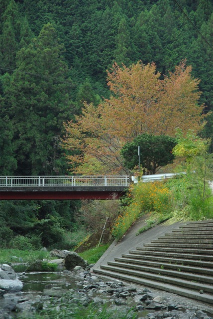 下市町森林公園やすらぎ村オートキャンプ_e0139376_0221975.jpg