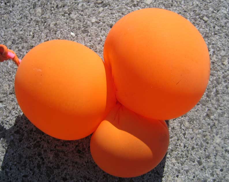 b0057679_8555915.jpg