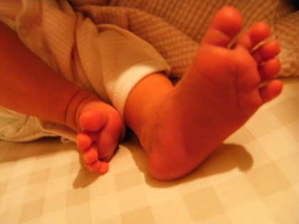 e0142283_3255028.jpg