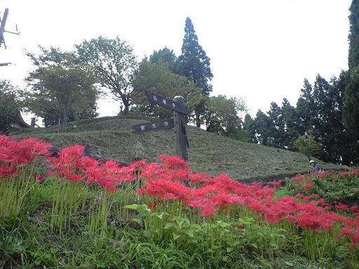 彼岸花の季節 （仏隆寺）_c0046587_1485720.jpg