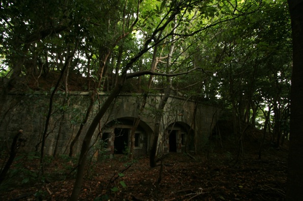 d0097288_12451.jpg