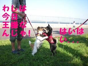 c0188294_836501.jpg