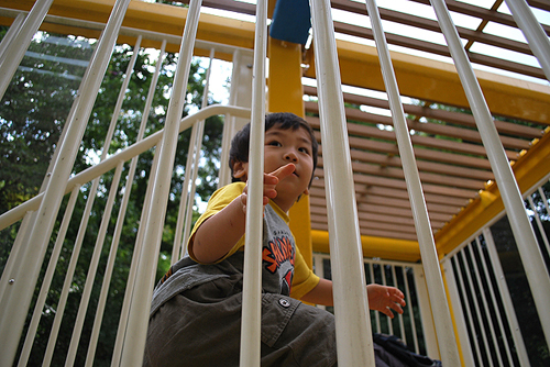 a0036400_22585823.jpg
