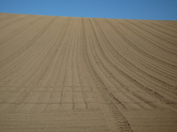 f0187700_14302747.jpg