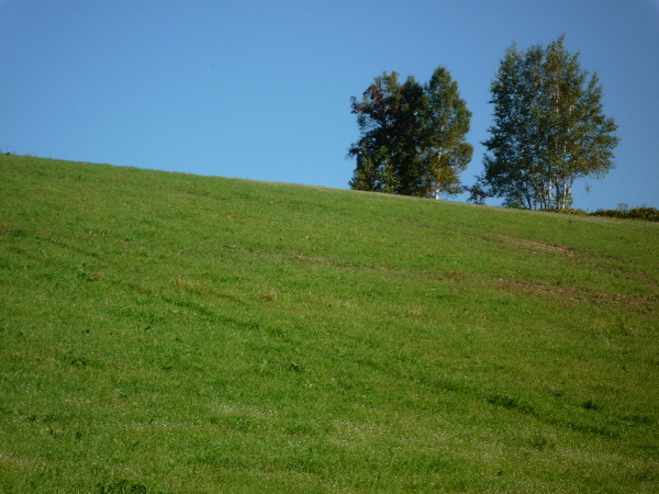 f0187700_14305030.jpg