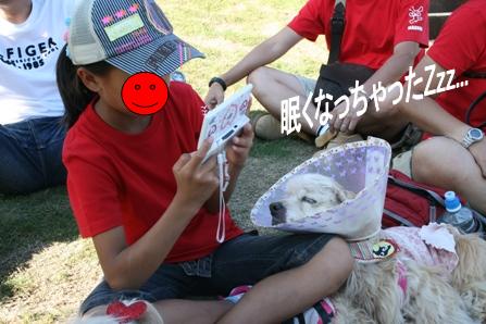 c0128303_13588.jpg