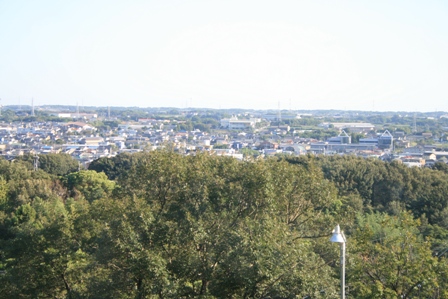c0128303_15075.jpg
