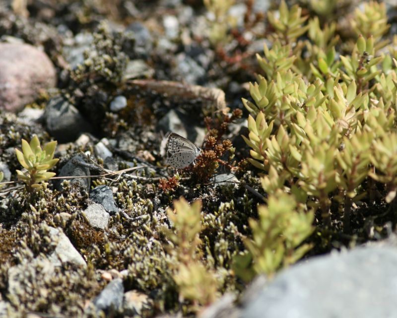 e0103903_19214863.jpg