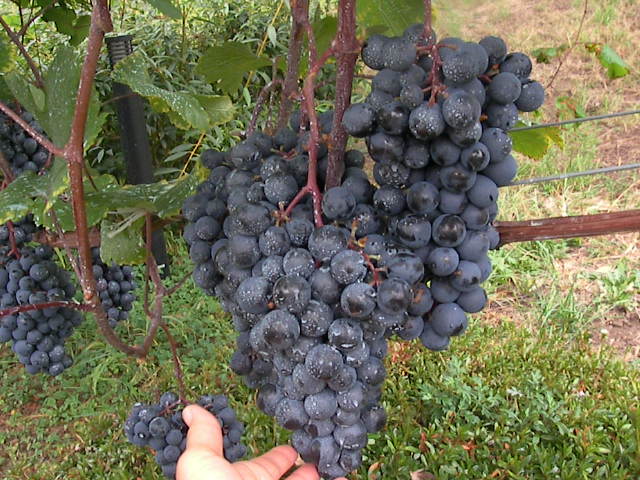 f0038407_23414385.jpg