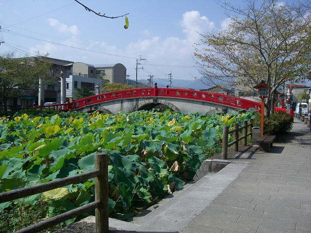 国宝 青井阿蘇神社_d0116009_1274781.jpg