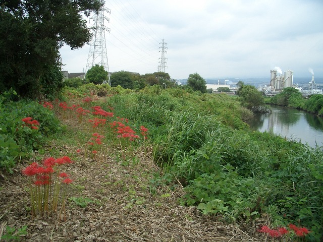 「秋の沼川・滝川ウォーク」の下見_f0141310_2332654.jpg