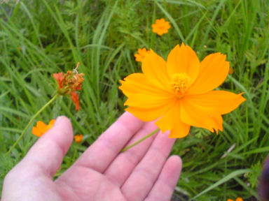 c0146714_21294119.jpg