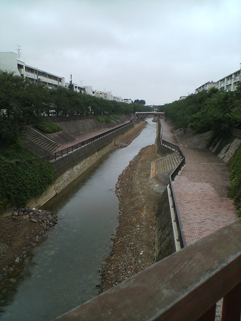 c0100318_1753245.jpg