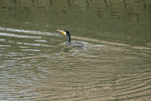f0012718_22421699.jpg