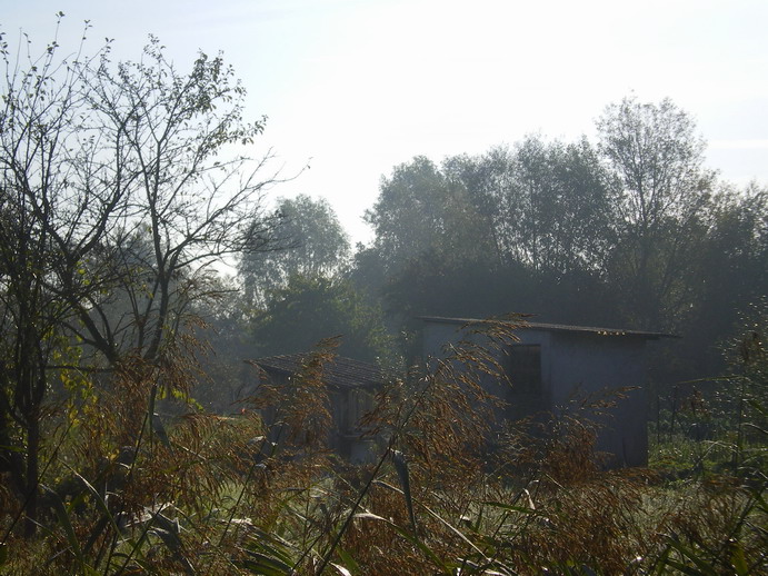 c0124619_2320478.jpg