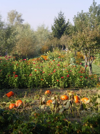 c0124619_23222339.jpg