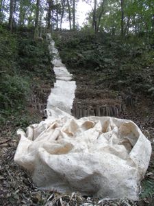 c0174319_95733.jpg
