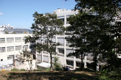 c0166720_846680.jpg