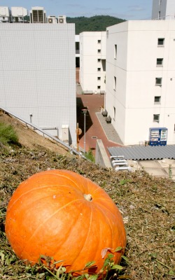 c0166720_8485815.jpg