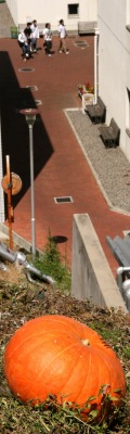 c0166720_8495635.jpg