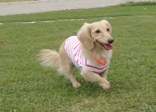 c0117831_22131917.jpg