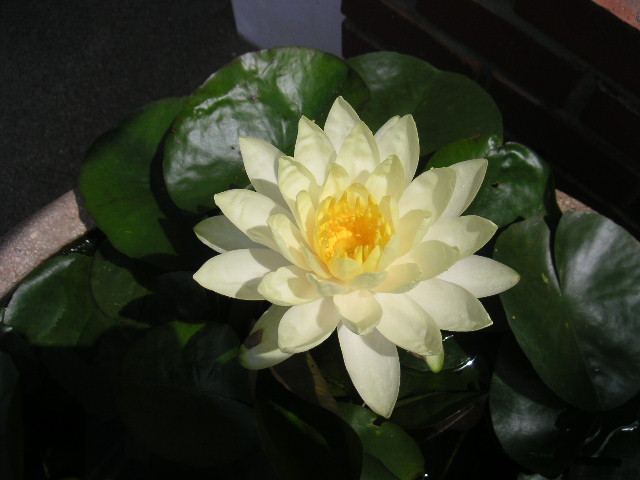 c0127933_8415544.jpg