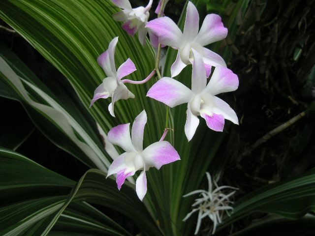 c0127933_8423930.jpg