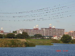 c0147935_20332822.jpg