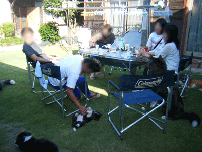 f0008935_10483268.gif