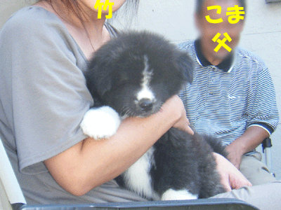 f0008935_1049063.gif