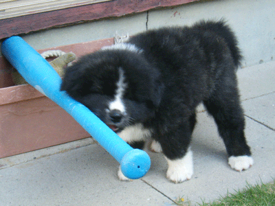 f0008935_10491714.gif