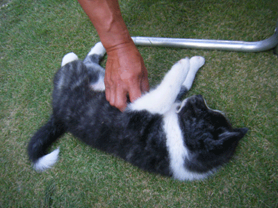 f0008935_10492555.gif