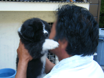 f0008935_1049931.gif
