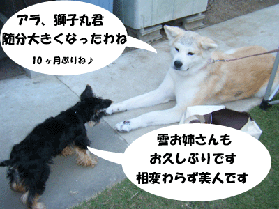 f0008935_1105681.gif